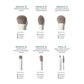 Morphe Along For The Glide 6-Piece Travel Brush Set